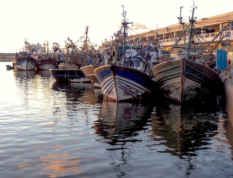 Прибрежный рыболовный флот Марокко строится по одному проекту уже более ста лет.