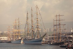 Варана (Болгария) SCF Black Sea Tall Ships Regatta 2014