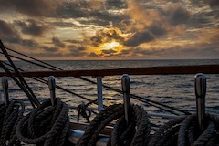   - Black Sea Tall Ships Regatta 2014