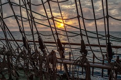   - Black Sea Tall Ships Regatta 2014