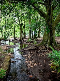 Морские круизы. Парусник, барк Седов. Кругосветка 2012-13 гг. Морские круизы. Парусник, барк Седов. Кругосветка 2012-13 гг.